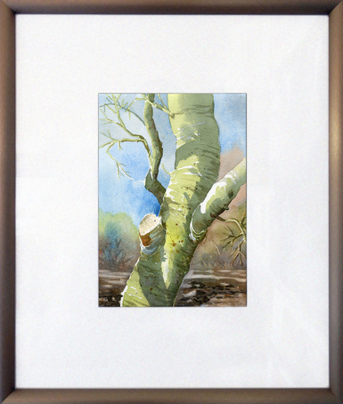 framing a watercolor painting - tip from Fountain Studio
